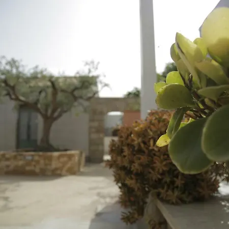 Antico Casale Sul Mare Holiday home Custonaci